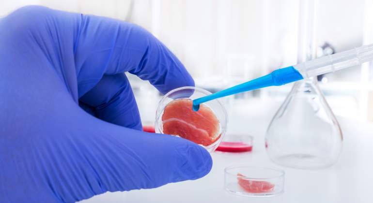 carne-cultivada-laboratorio-dreamstime.jpg