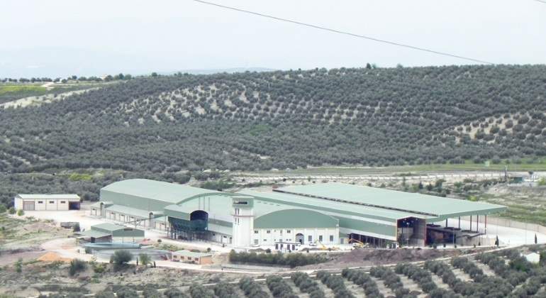 cooperativa-jaen2-770x420.jpg
