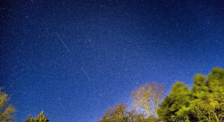 770x420starlink.jpg