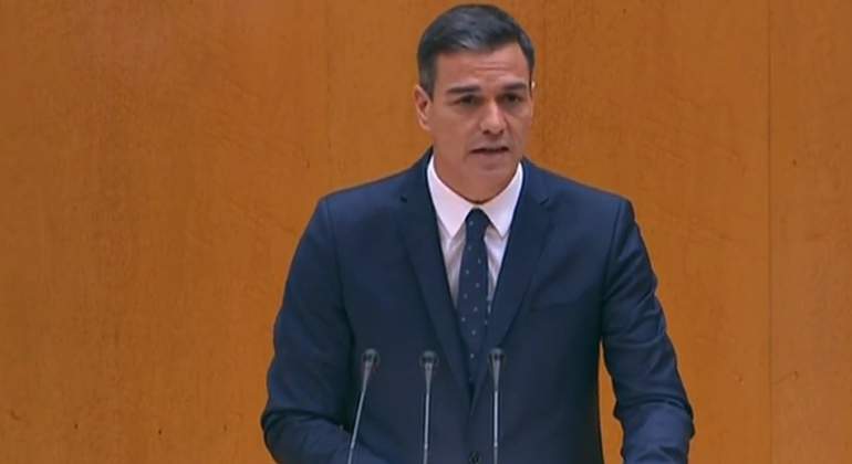 sanchez-senado.jpg
