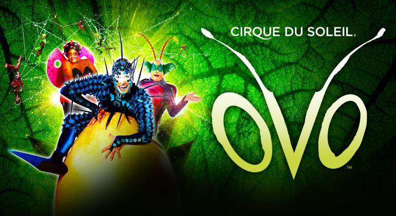 circo-sol-ovo-770.jpg