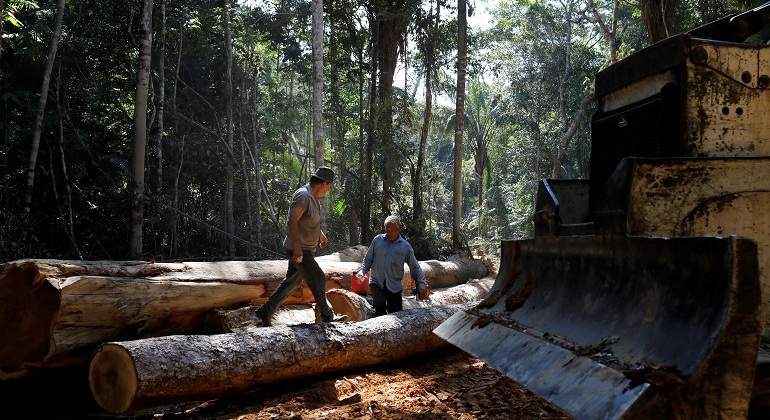 amazonas-tala-arboles-reuters.jpg