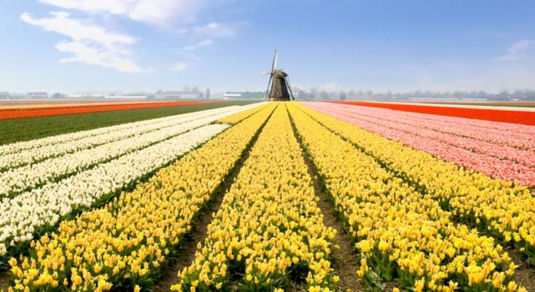 holanda-paisaje-dreams.jpg