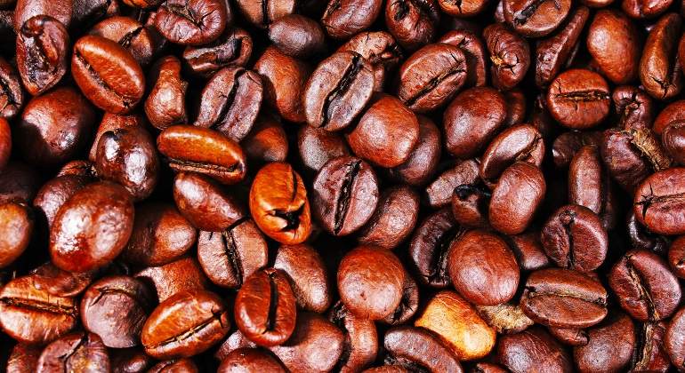 cafe-arabica.jpg