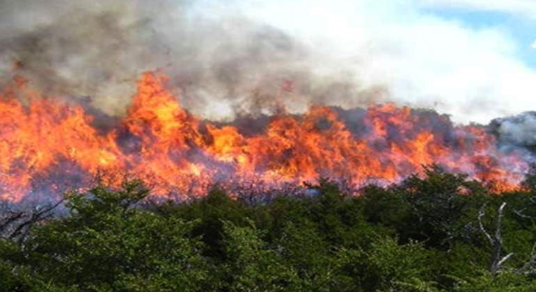 Incendios-770.jpg