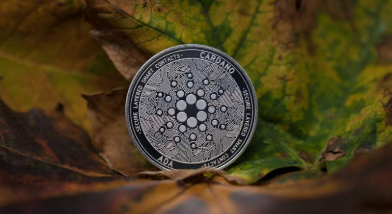 cardano-cripto.jpg