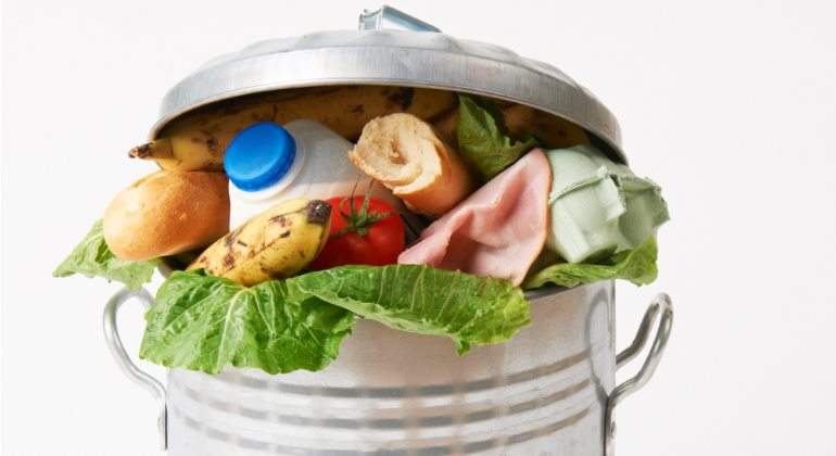 basura-comida-770-dreamstime.jpg