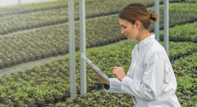 ingeniera-plantas-tablet-agronomo-770-dreamstime.jpg