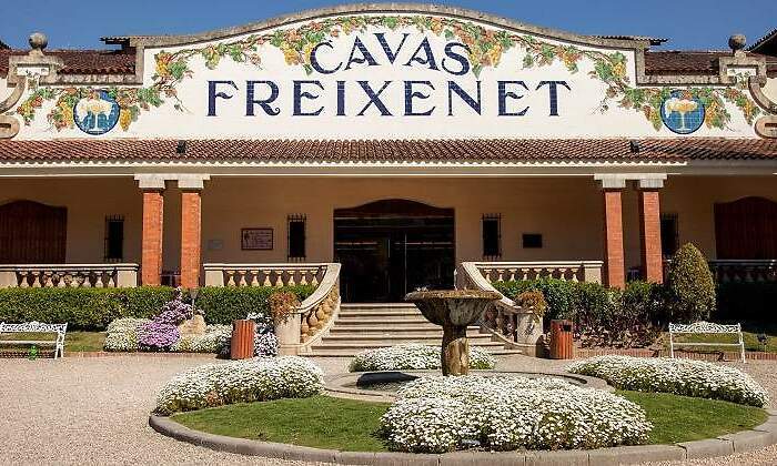 FreixenetSedeWeb.jpg