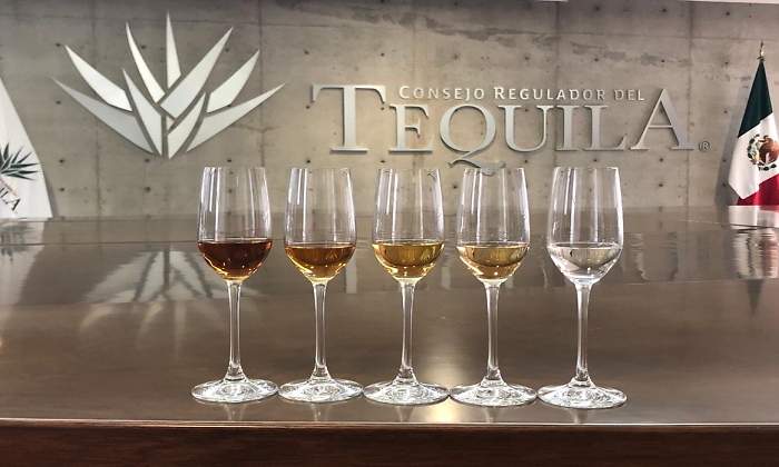 clases-de-tequila.jpeg