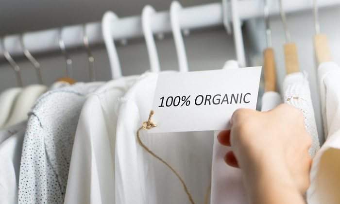 moda-ropa-perchas-organica-sostenible-770-dreamstime.jpg