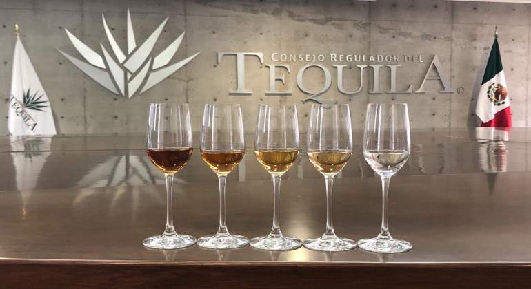 clases-de-tequila.jpeg