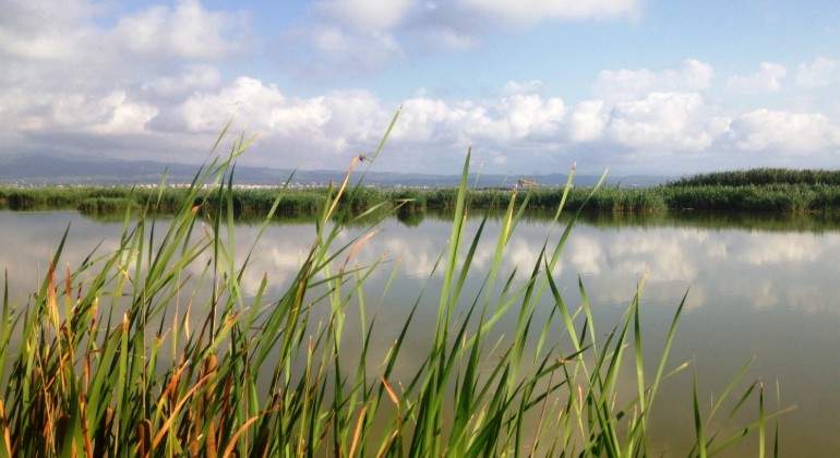 Humedales-Delta-del-Ebro-1.jpg