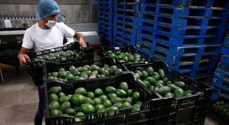exportaciones-agroalimentarias-coronavirus-mexico.jpg