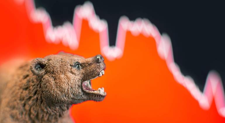 oso-ciclo-bolsa-dreamstime-770x420.jpg
