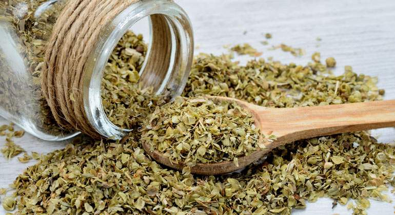 oregano.jpg