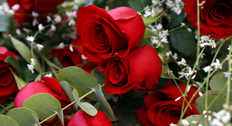 rosas-sanvalentin-foto-efe.png