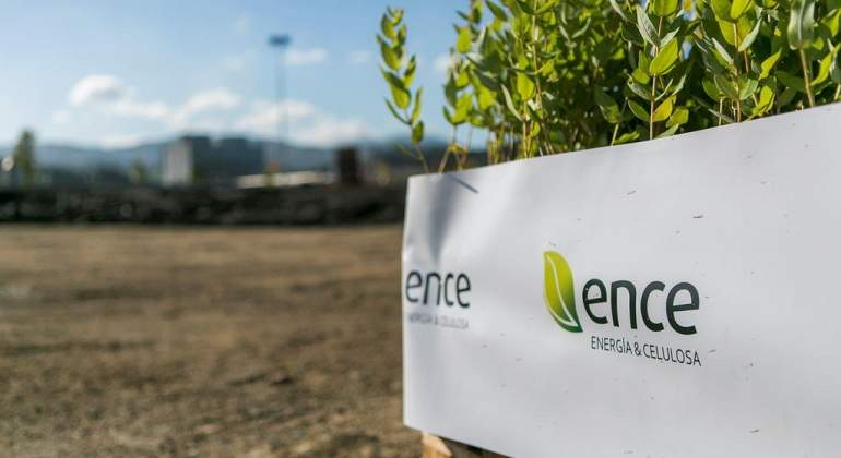 Gestin forestal de Ence