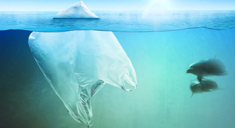 La basura plástica envenena a los delfines del Mar de Alborán: hallan altos niveles químicos en sus cerebros