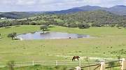 Crece el interés inversor por las fincas rústicas