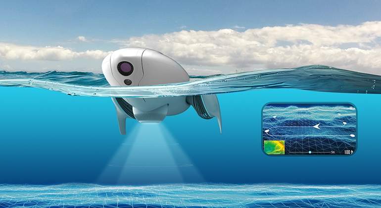PowerDolphin-Scientific-Research.jpg