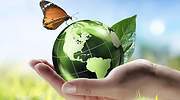 La transición ecológica creará cuatro puestos de trabajo por cada uno destruido