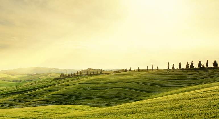 iStock-180819399.jpg