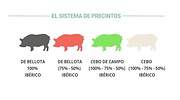 Cómo leer la etiqueta o precinto del auténtico jamón ibérico: cuatro colores según raza y alimentación