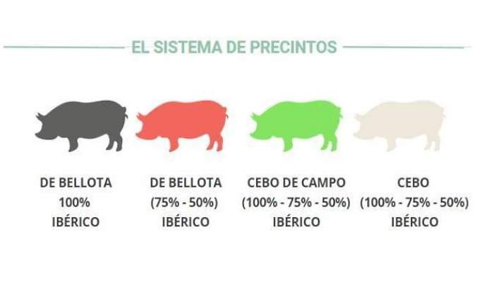 sistema-precintos-colores-jamon-iberico-1.jpg