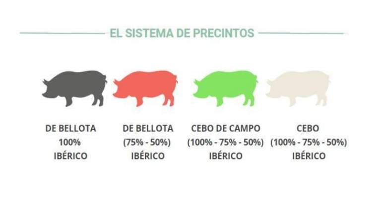 sistema-precintos-colores-jamon-iberico-1.jpg