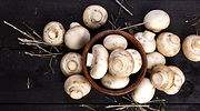 Las otras vidas del champiñón: jabón, bioplástico o comida multiproteica