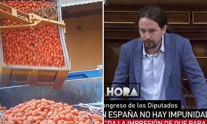 tomatina-iglesias.jpg