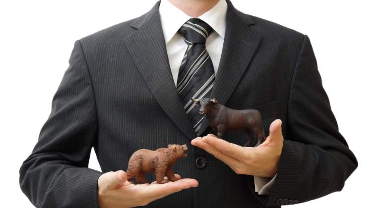oso-toro-broker-dreamstime.jpg