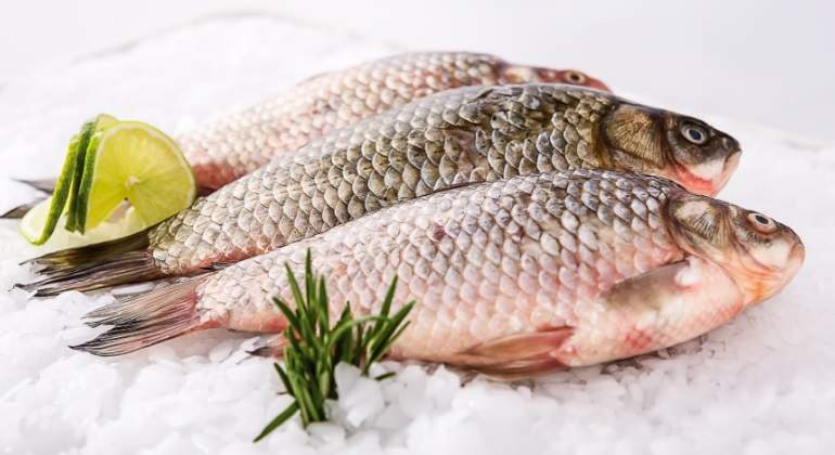 pescado-dreamstime.jpg