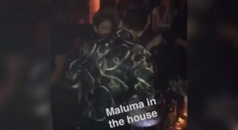 Maluma-eiza-FB-770.jpg