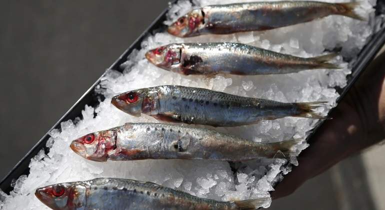 Pescados-reuters-770.jpg