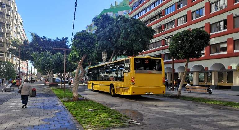 bus.jpg