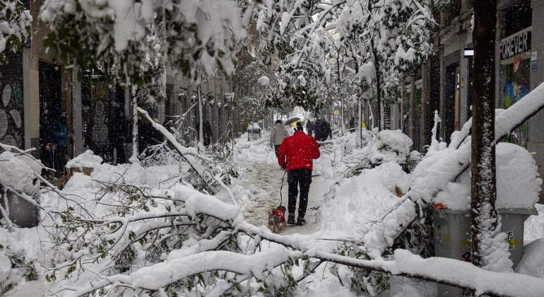 nieve-madrid-arboles-efe.jpg
