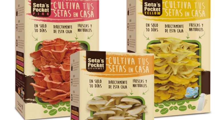 cajas-setas-770x420-efe.jpg