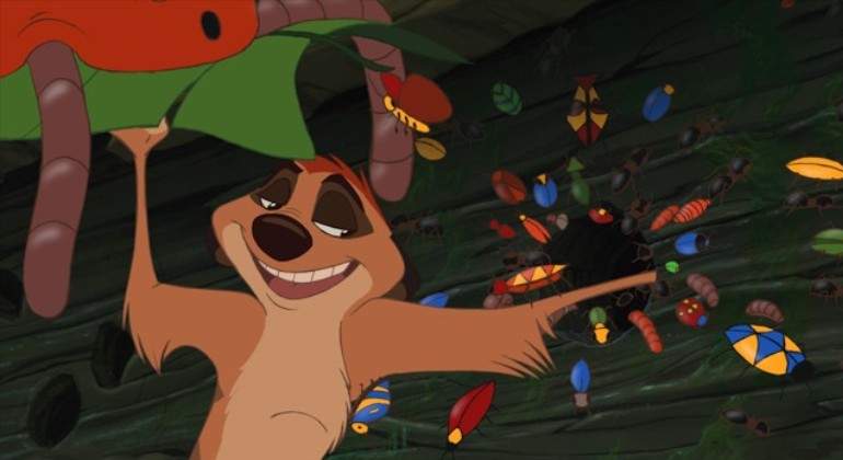 insectos-bichos-timon.jpg