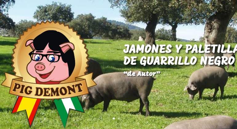 web-pig-demont.jpg