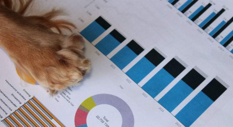 grafico-pata-perro-istock.jpg