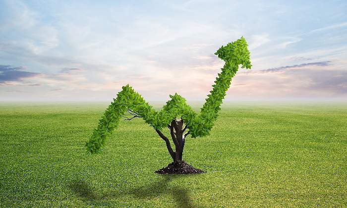 770-420-inversion-verde-sostenible-descarbonizacion.jpg