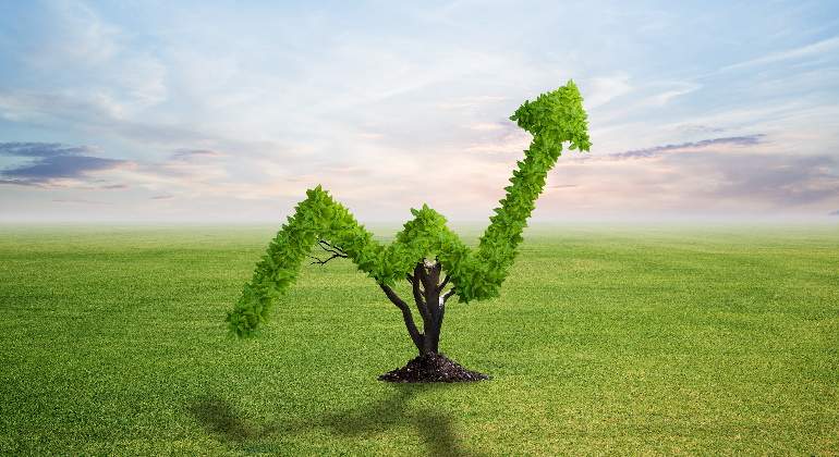 770-420-inversion-verde-sostenible-descarbonizacion.jpg