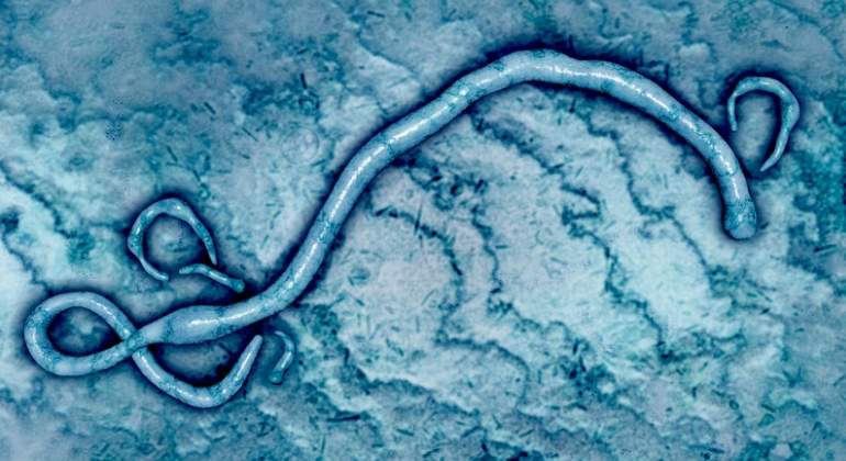 ebola-virus-dreams.jpg