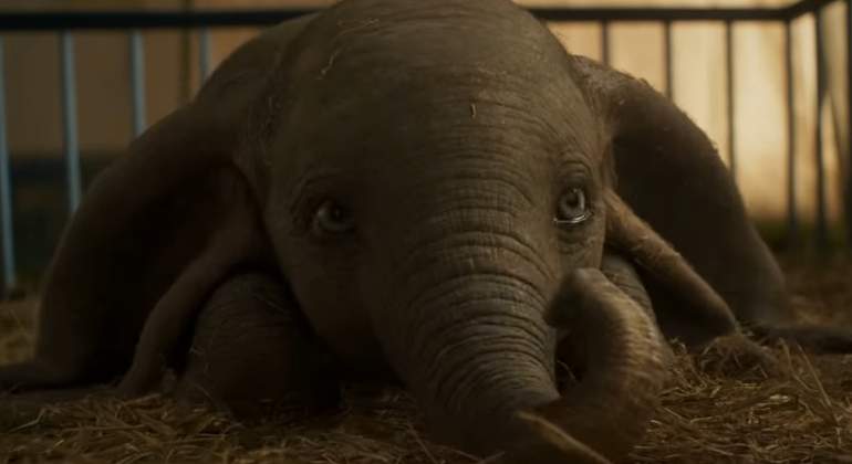 dumbo-tim-burton.jpg