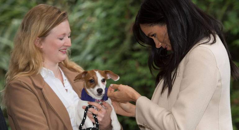 meghan-perros-770.jpg