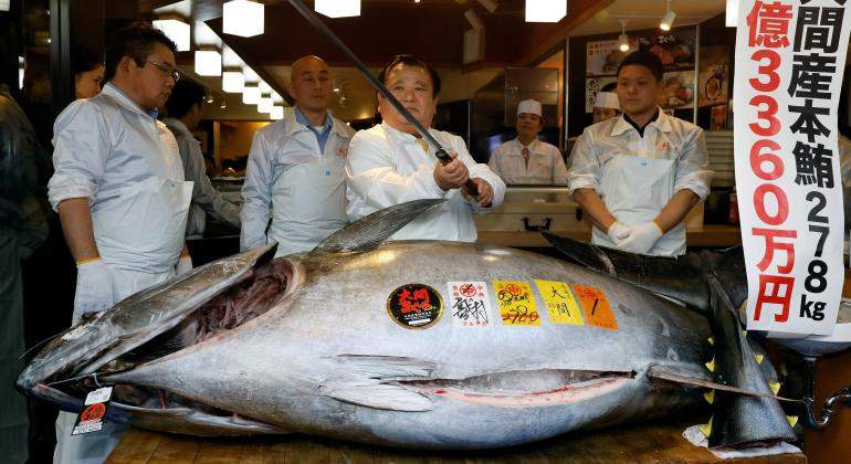 atun-tokio-lonja-efe.jpg
