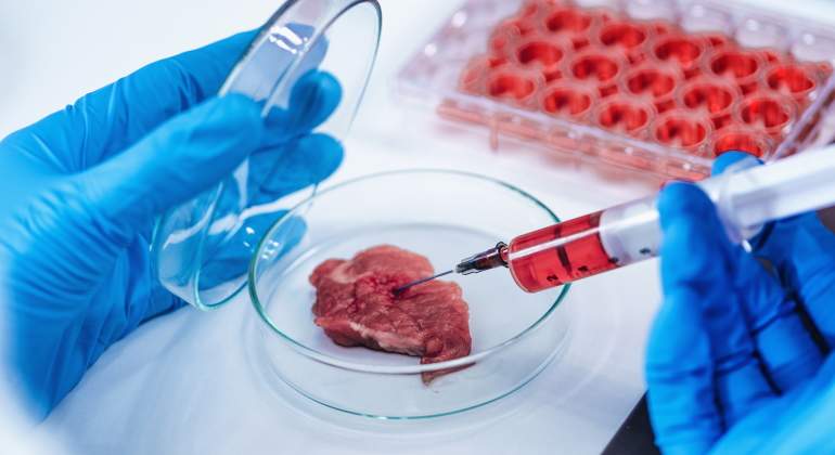 carne-artificial-solomillo-laboratorio-dreamstime.jpg