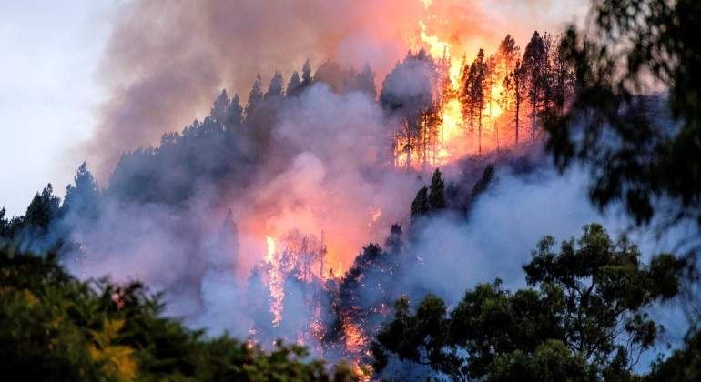 Un nuevo incendio en Gran Canaria obliga a evacuar a 2.000 personas